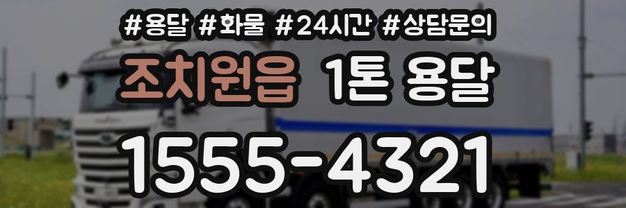 조치원읍 1톤 용달