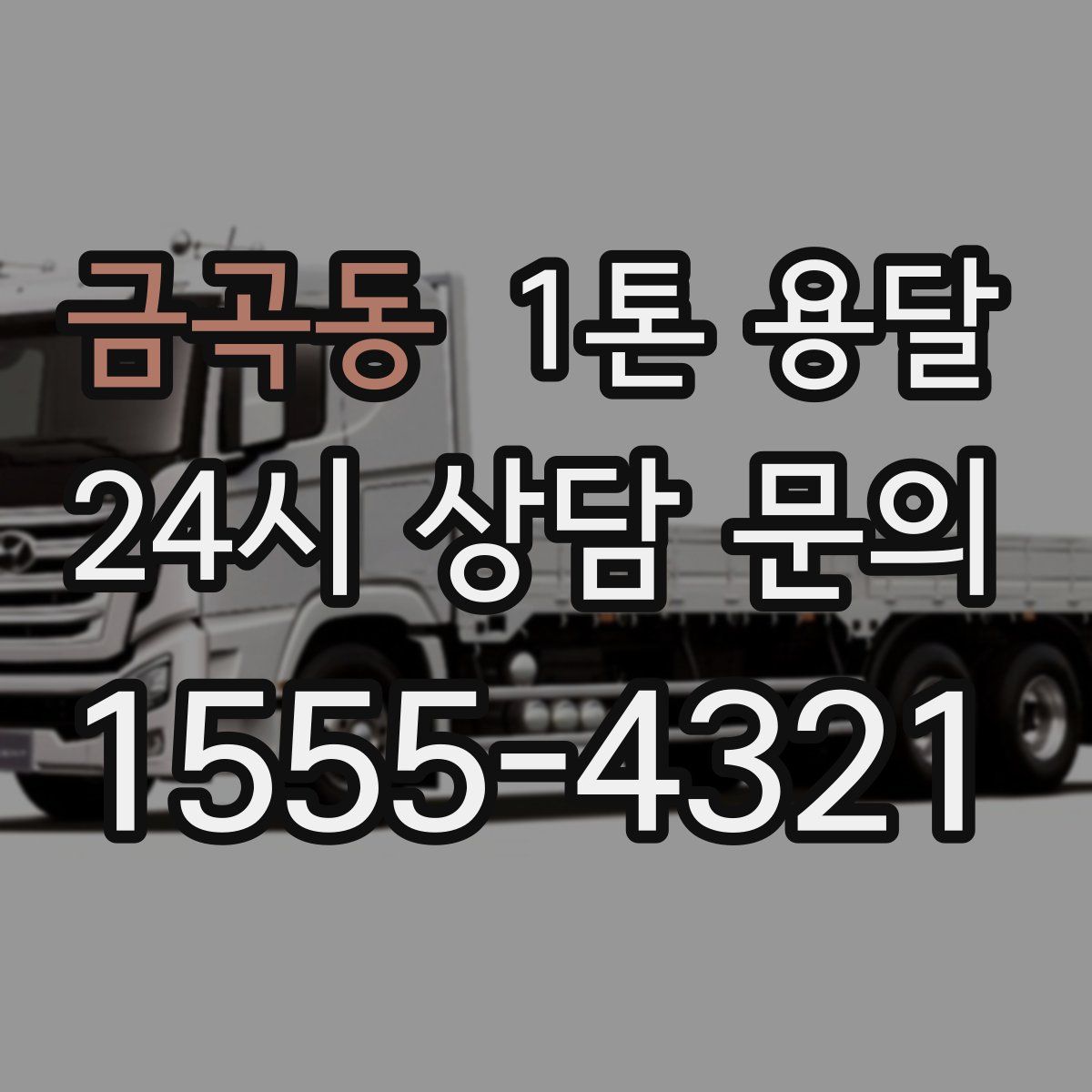 금곡동 1톤 용달