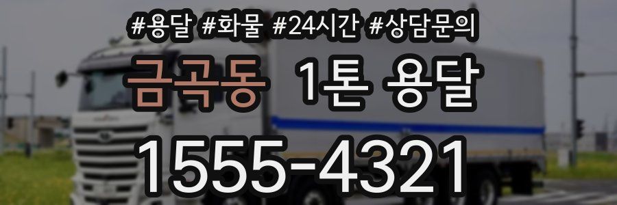 금곡동 1톤 용달