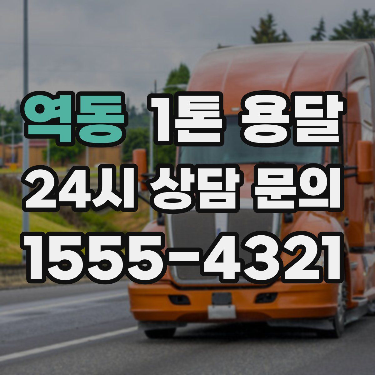 역동 1톤 용달