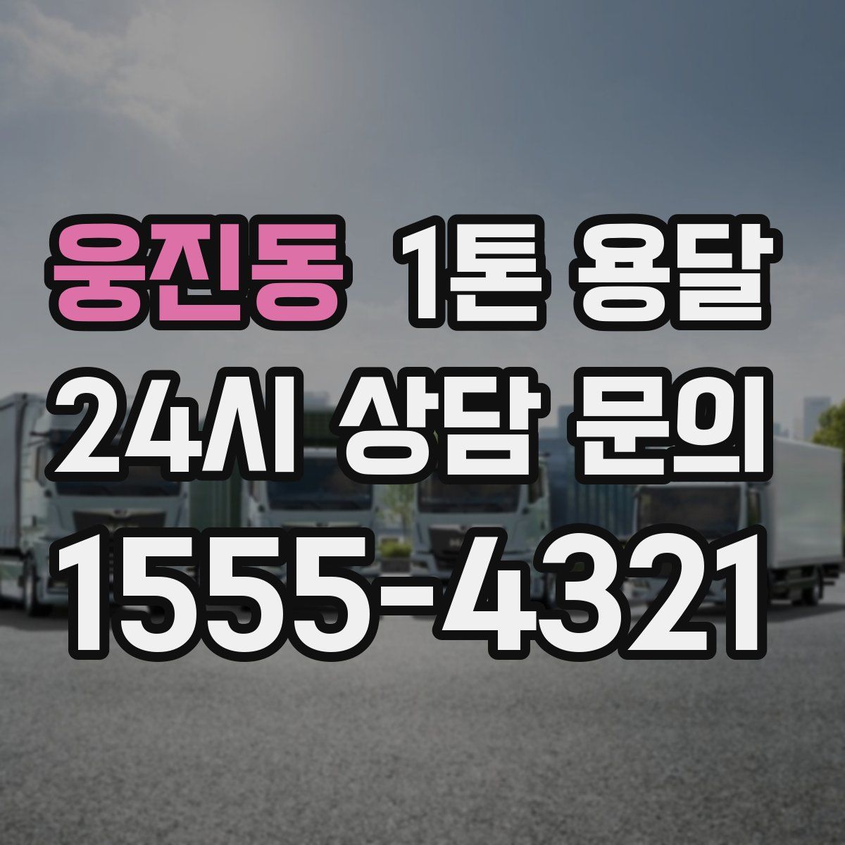 웅진동 1톤 용달