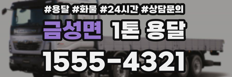 금성면 1톤 용달