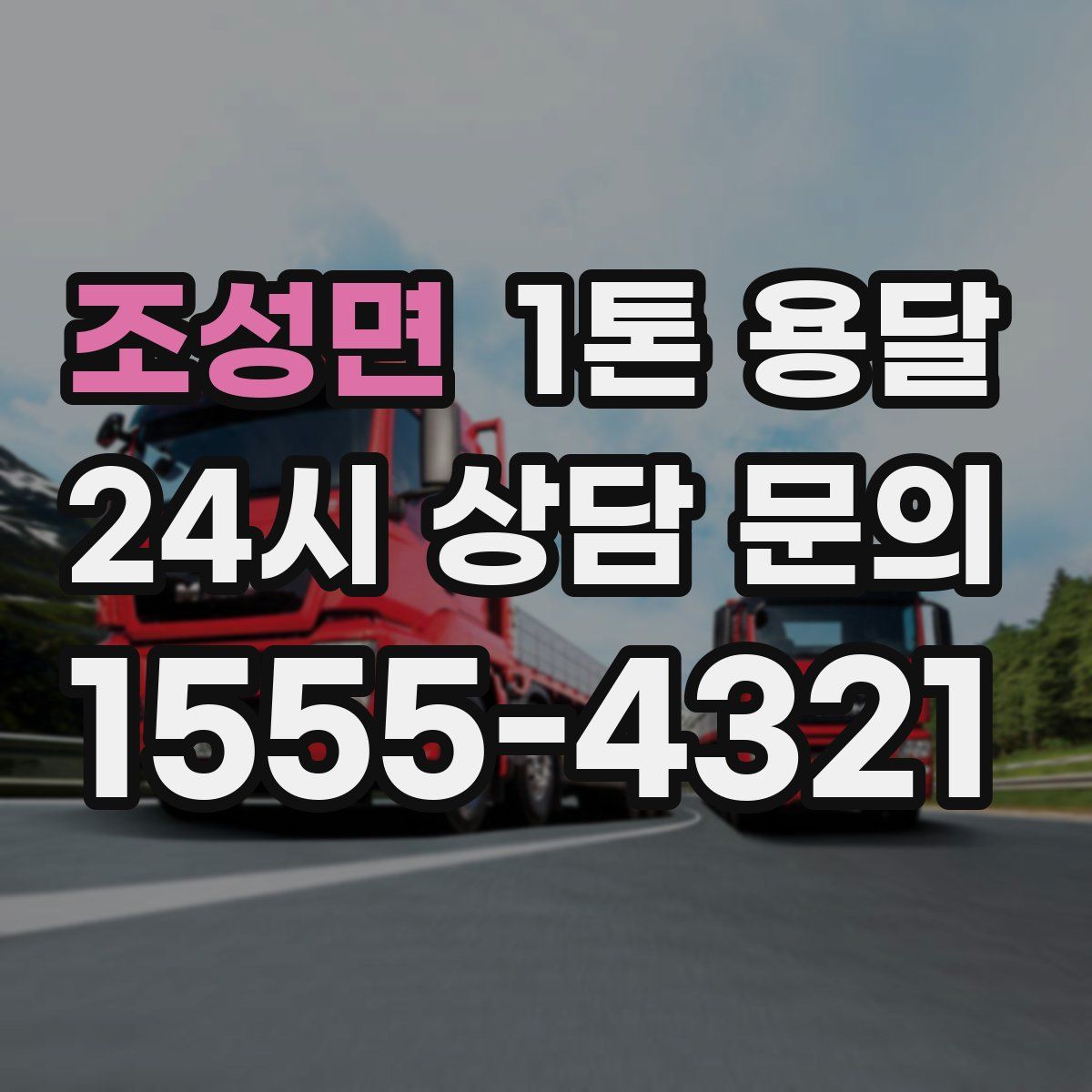 조성면 1톤 용달