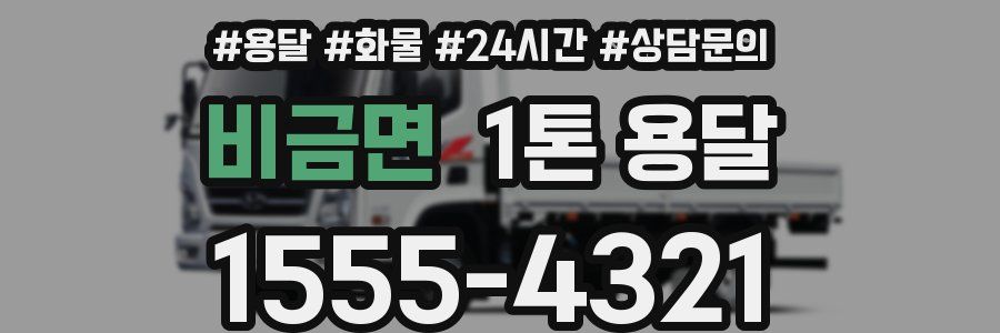비금면 1톤 용달