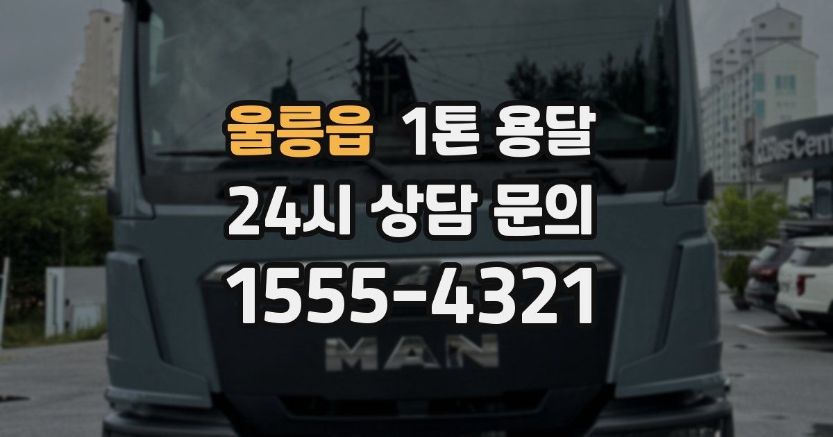 울릉읍 1톤 용달