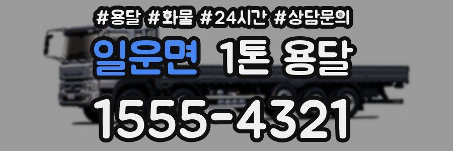 일운면 1톤 용달
