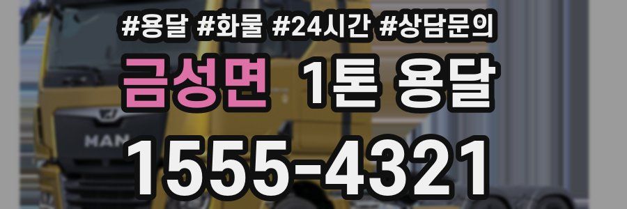 금성면 1톤 용달