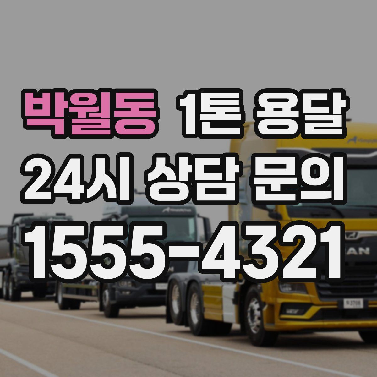 박월동 1톤 용달