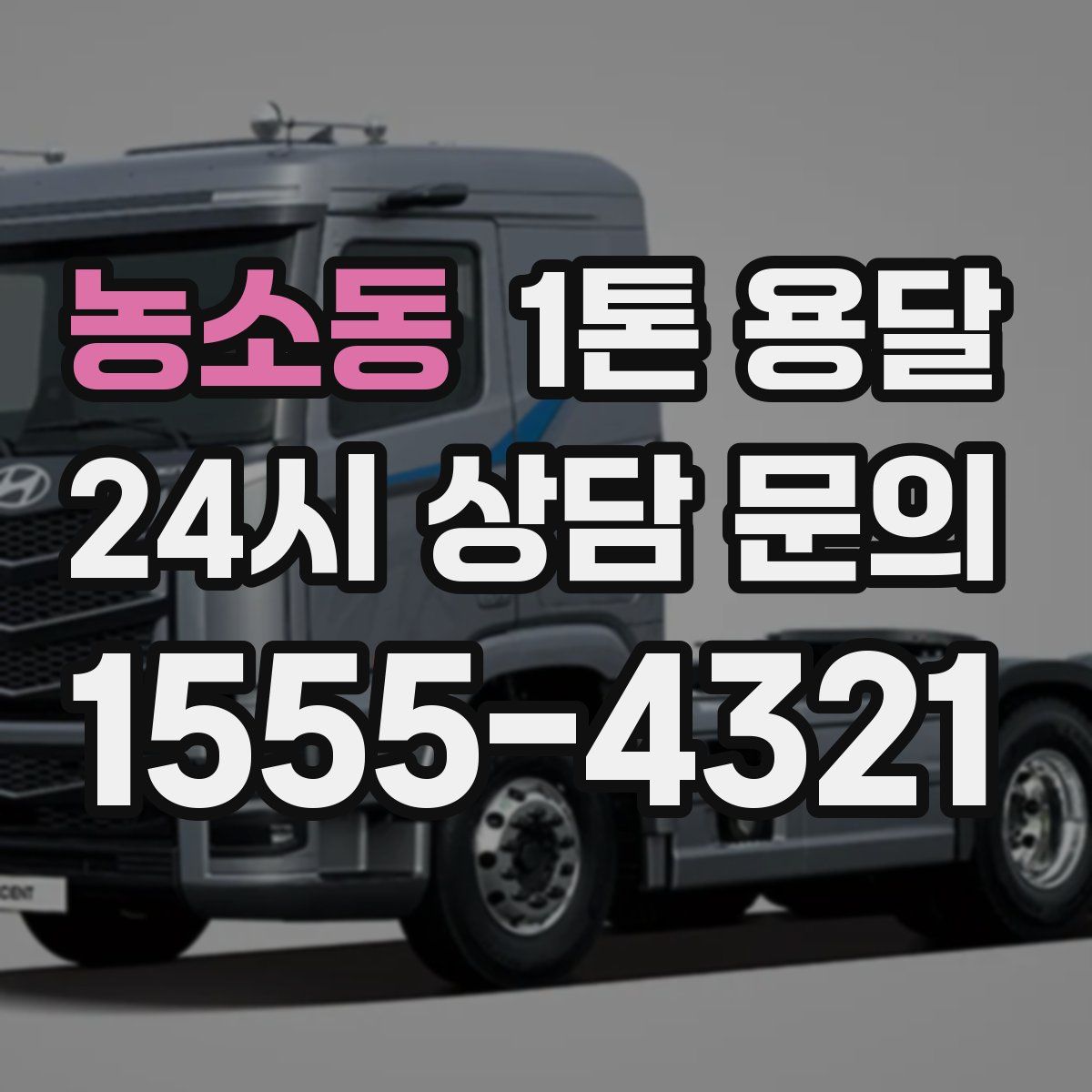 농소동 1톤 용달