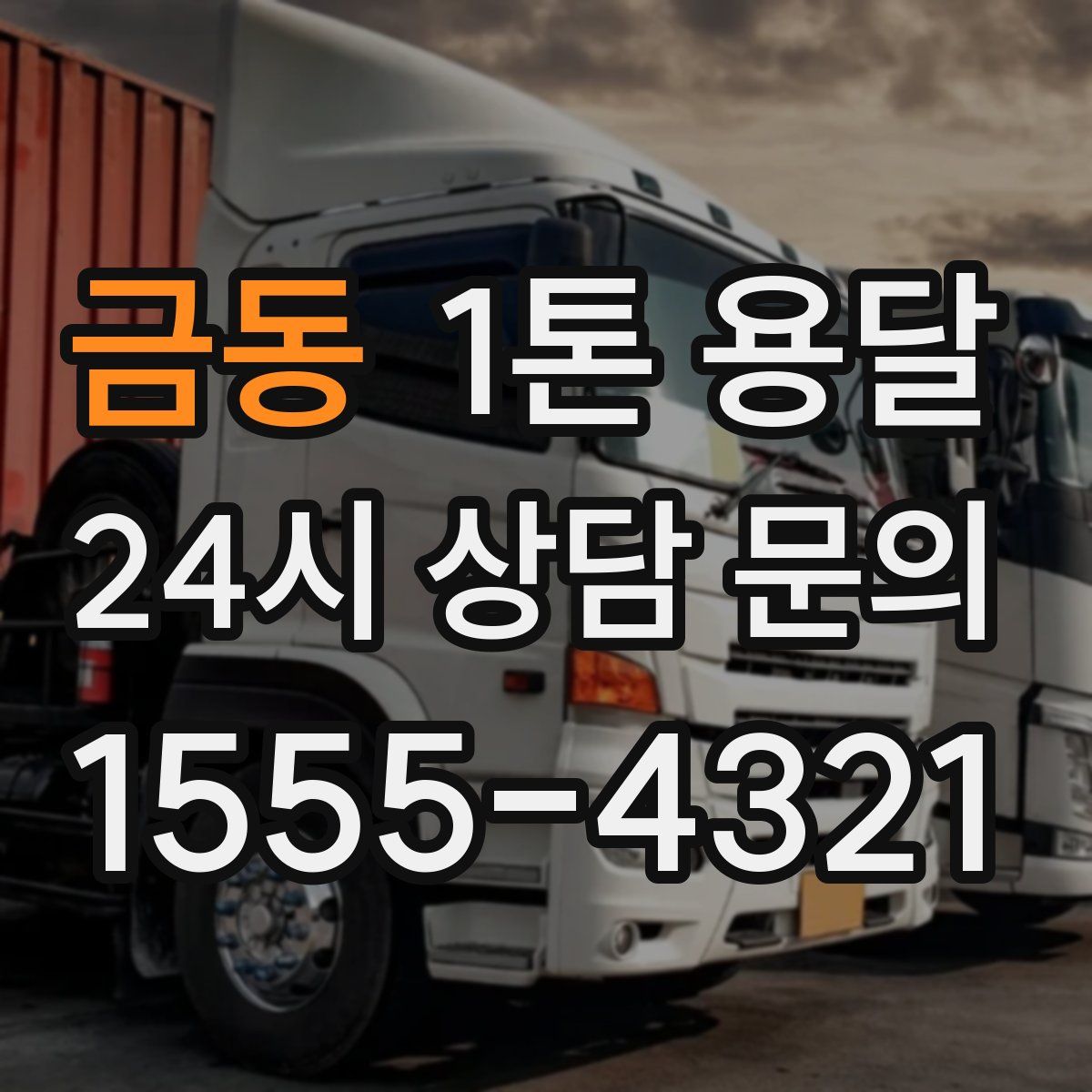 금동 1톤 용달