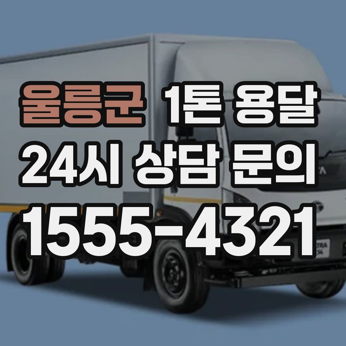 울릉군 1톤 용달