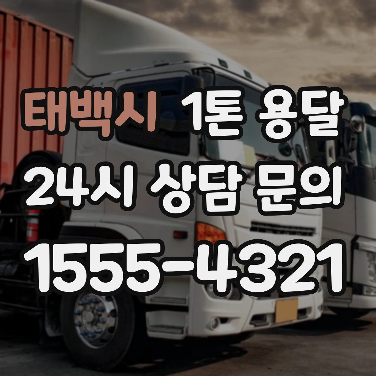 태백시 1톤 용달