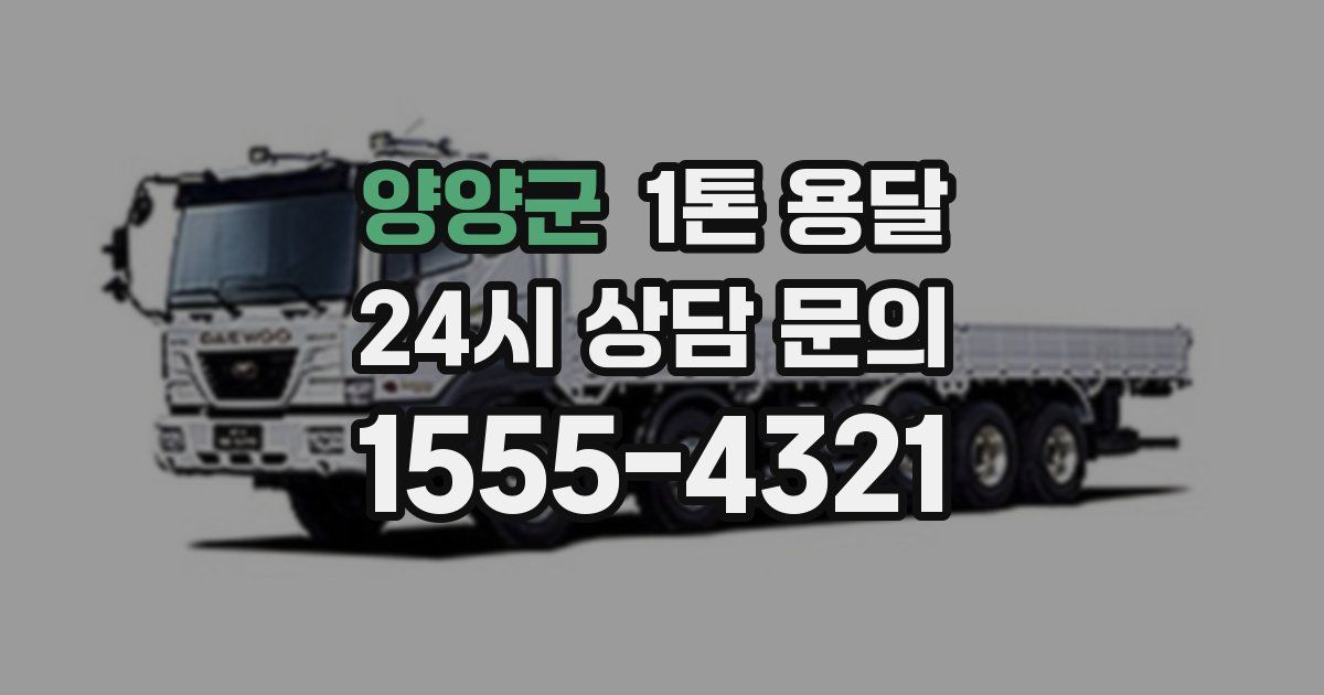 양양군 1톤 용달
