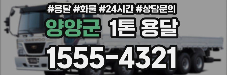 양양군 1톤 용달