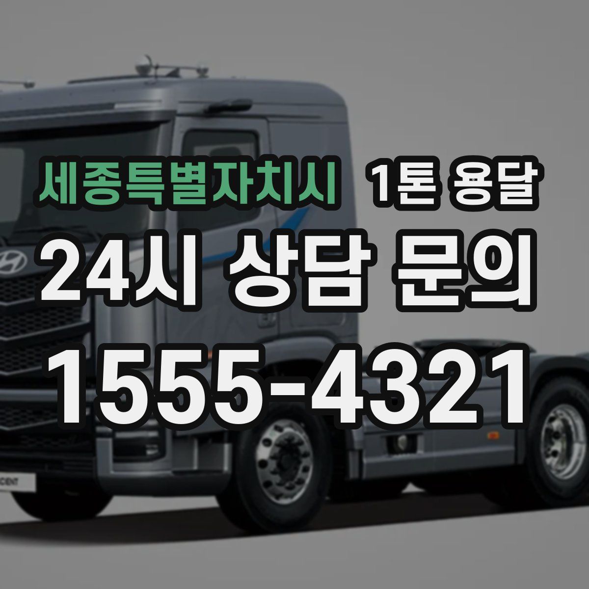 세종특별자치시 1톤 용달