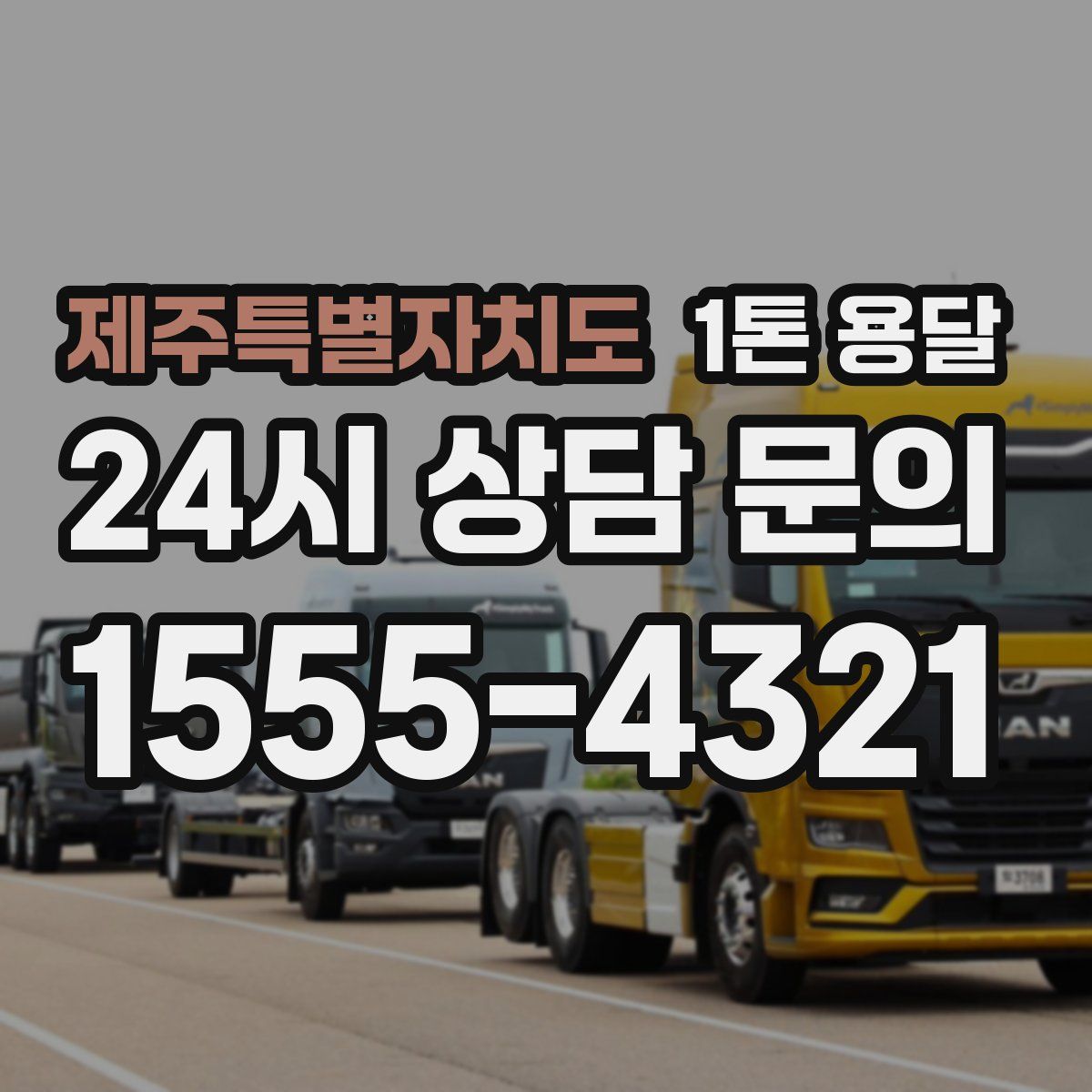 제주특별자치도 1톤 용달