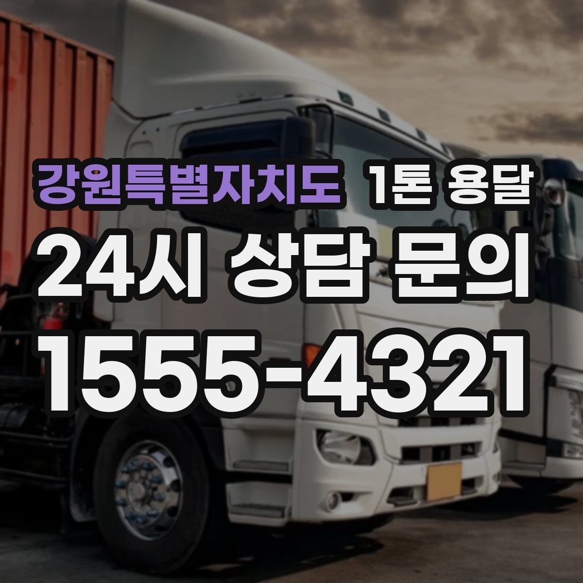 강원특별자치도 1톤 용달