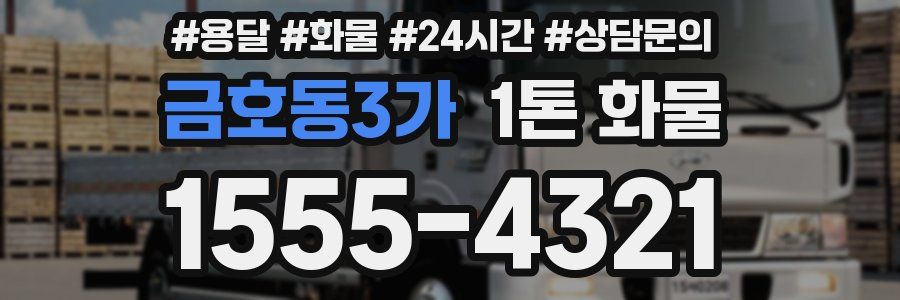 금호동3가 1톤 화물
