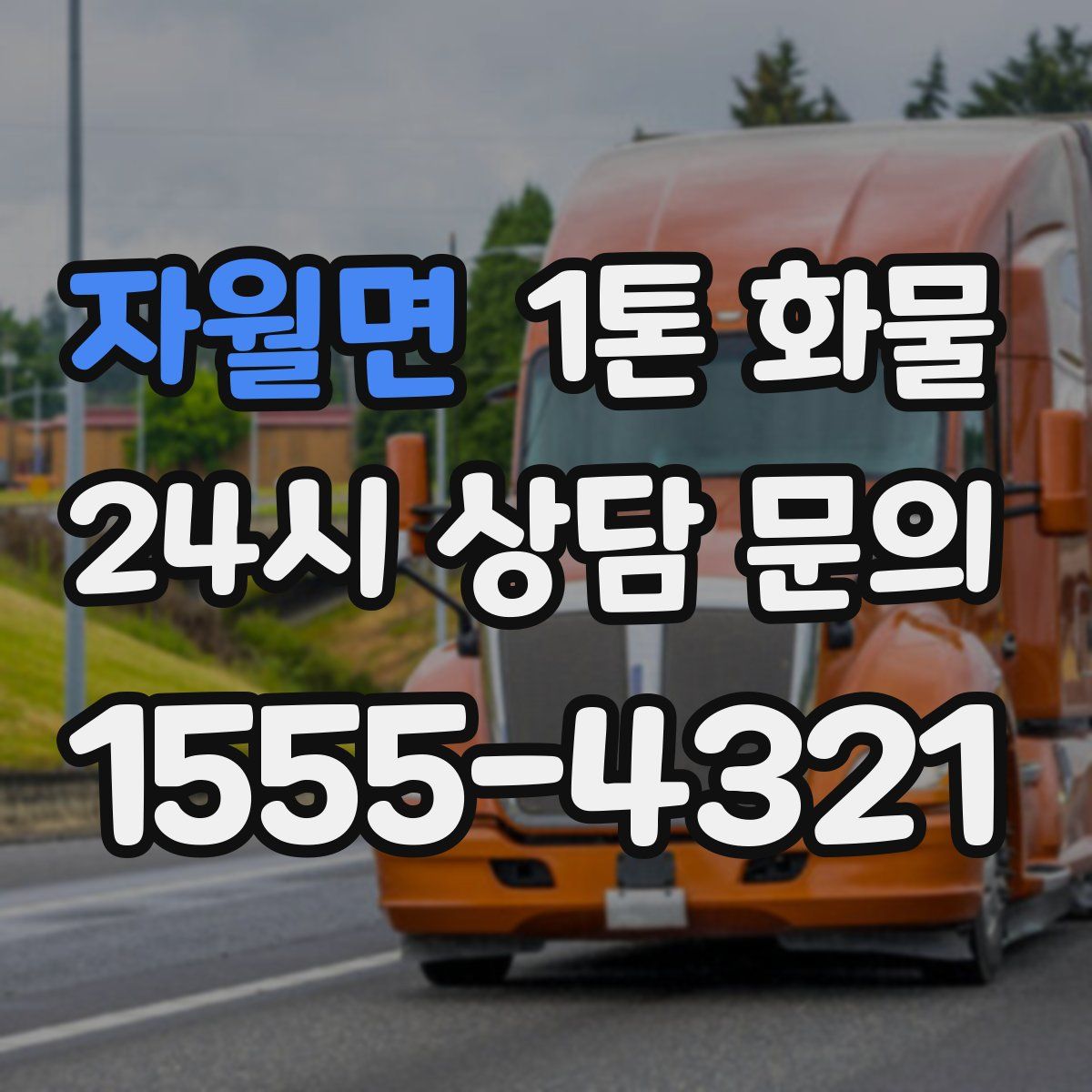 자월면 1톤 화물