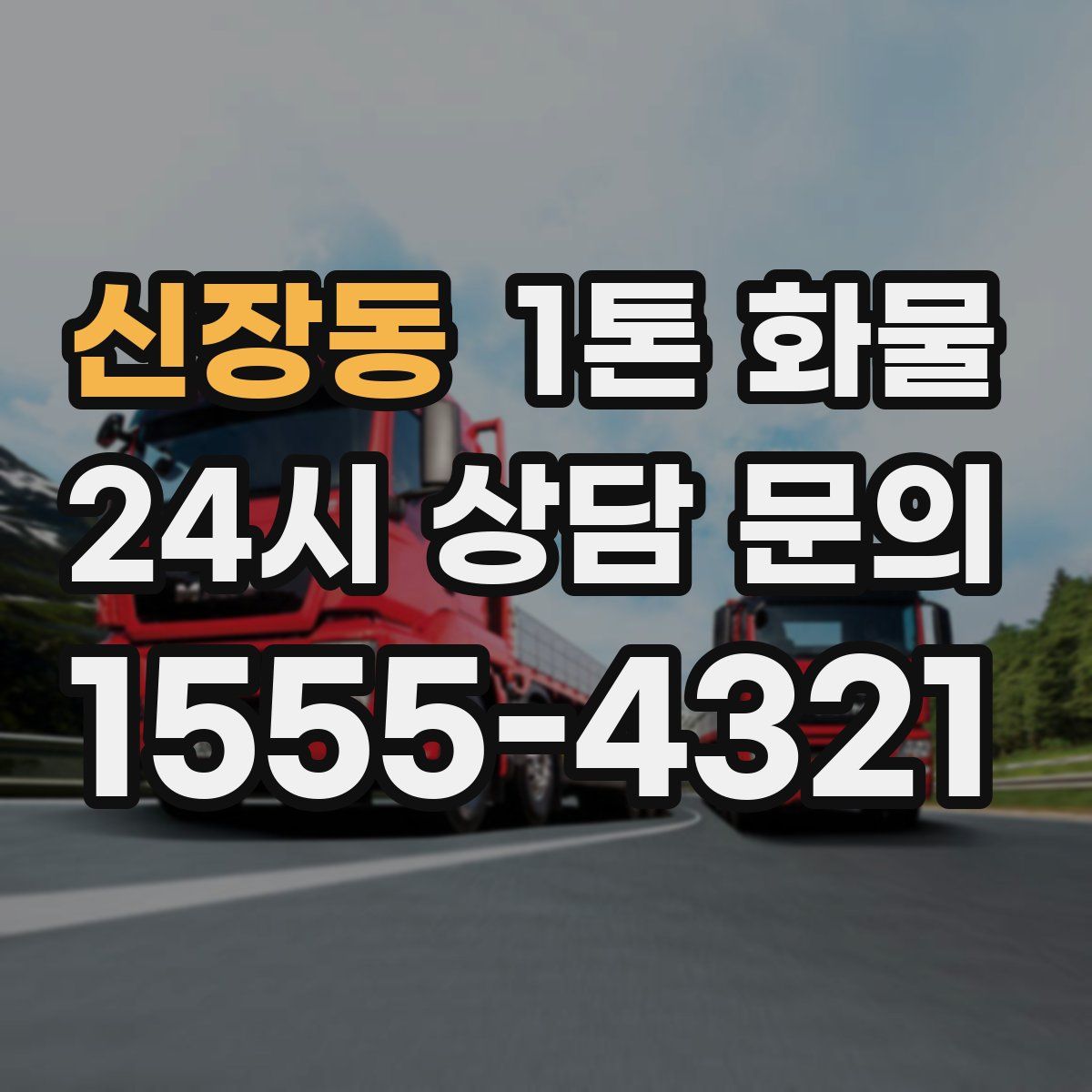 신장동 1톤 화물