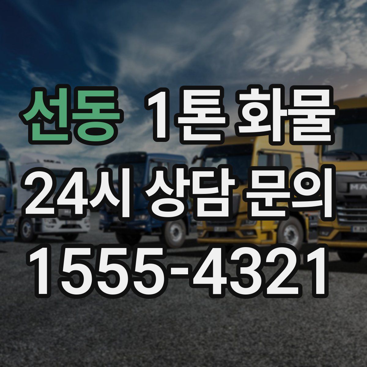 선동 1톤 화물