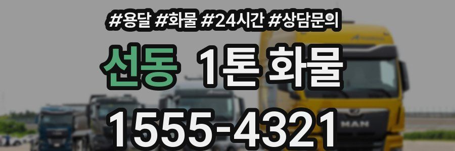 선동 1톤 화물