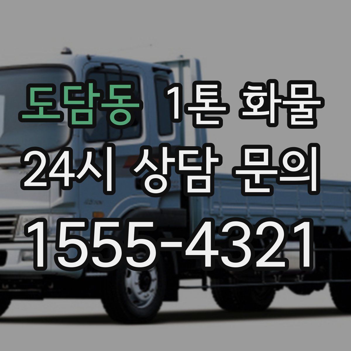 도담동 1톤 화물