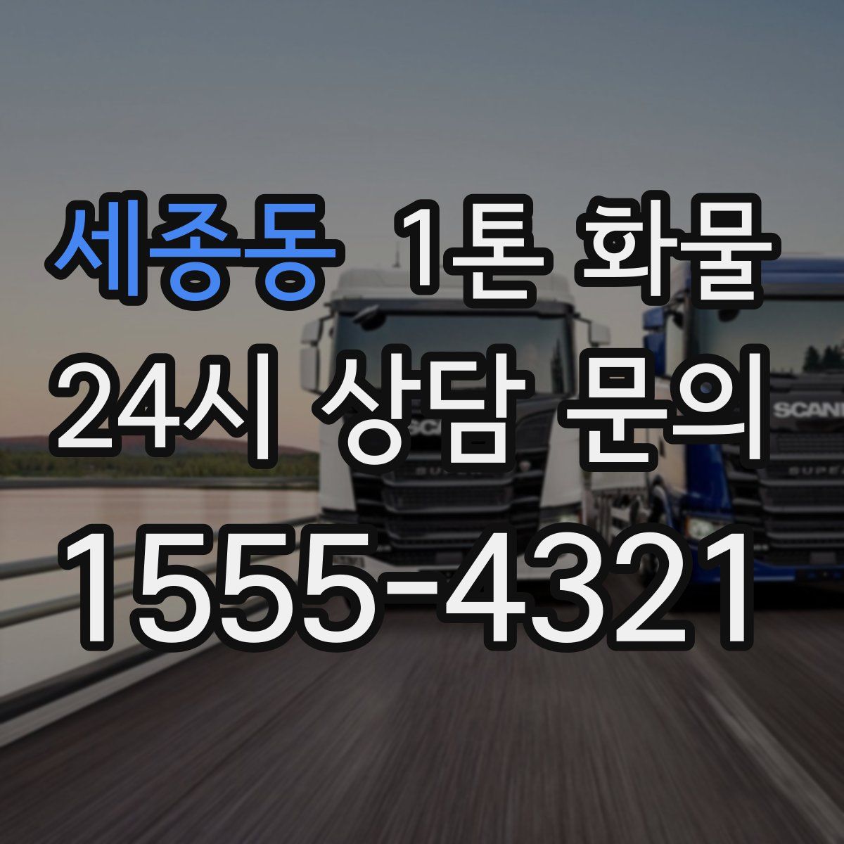 세종동 1톤 화물