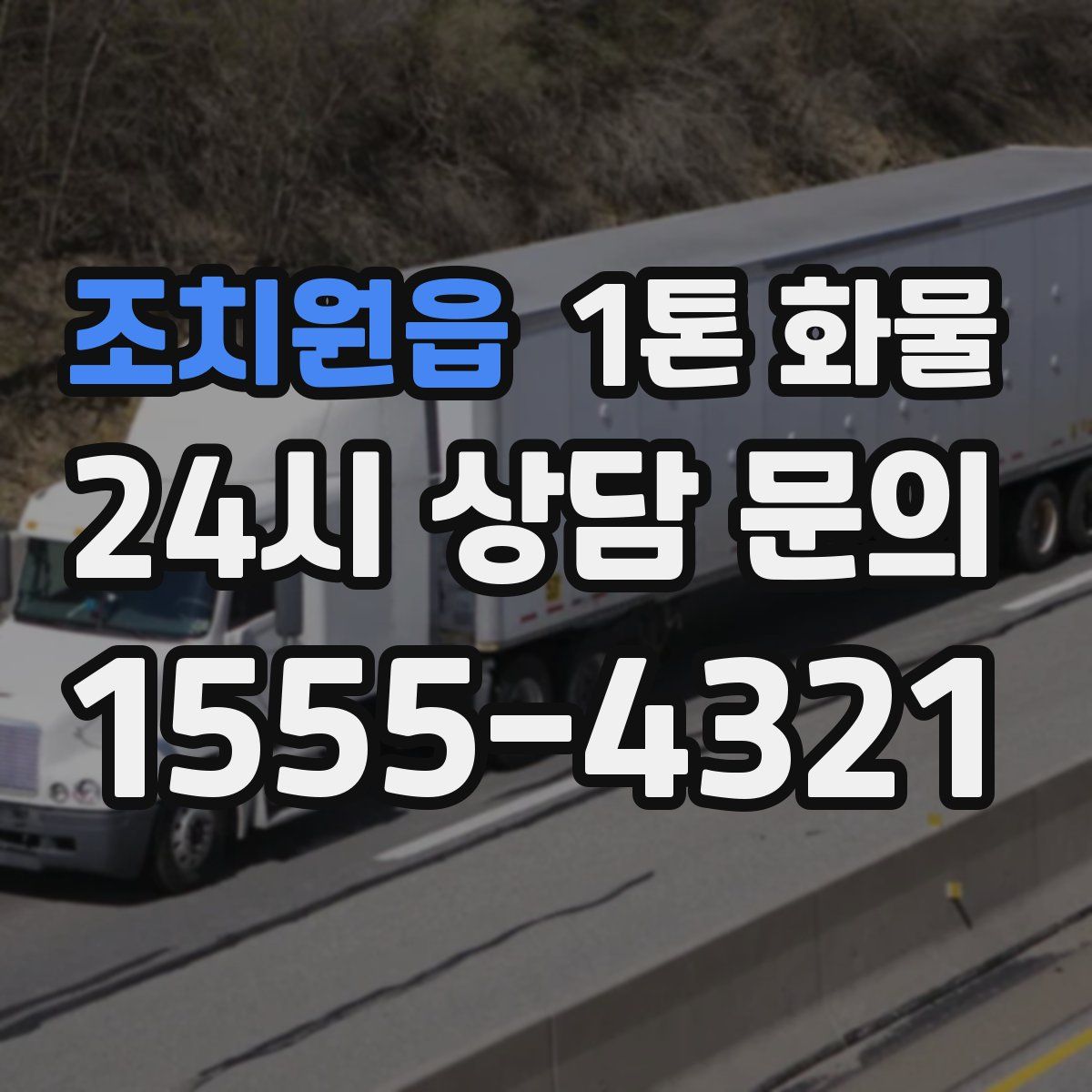 조치원읍 1톤 화물