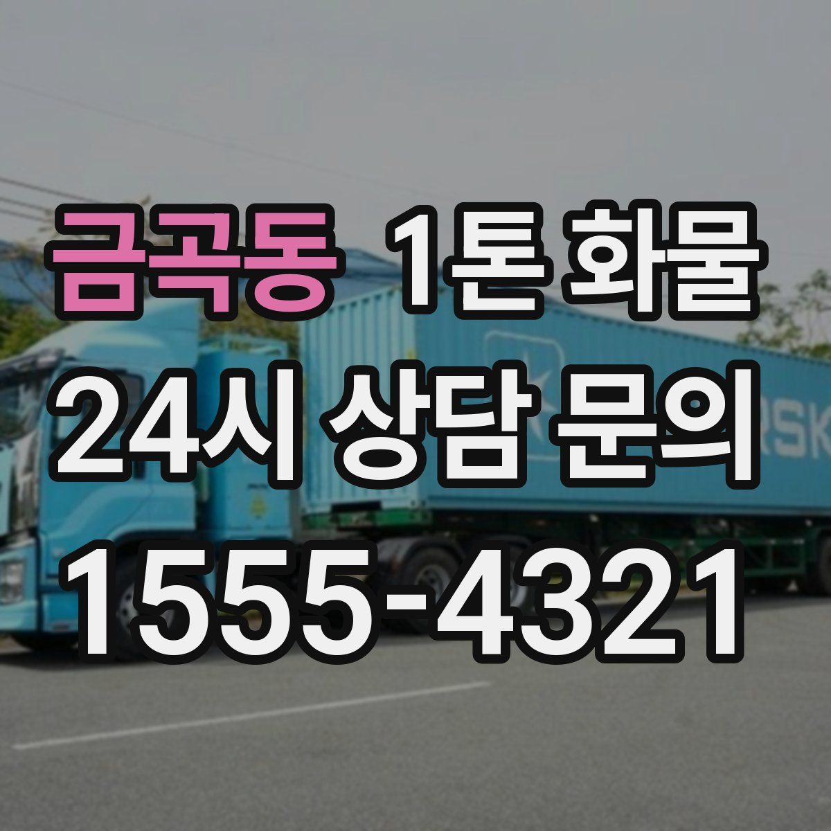 금곡동 1톤 화물