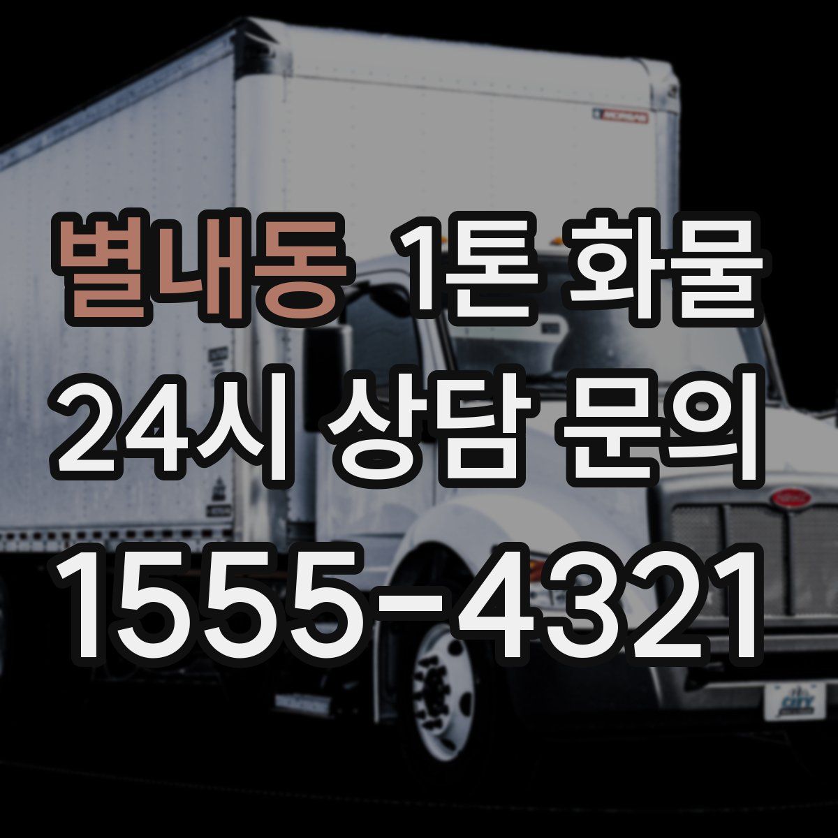별내동 1톤 화물