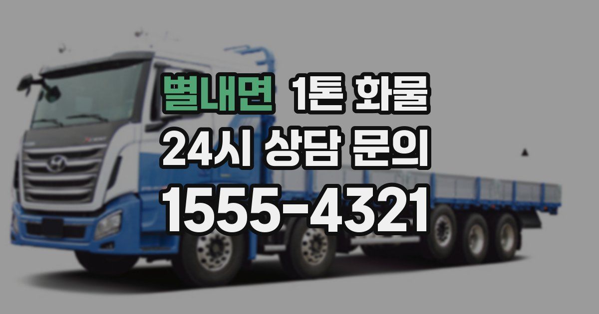 별내면 1톤 화물