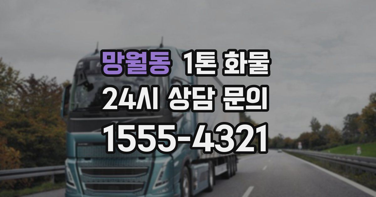 망월동 1톤 화물