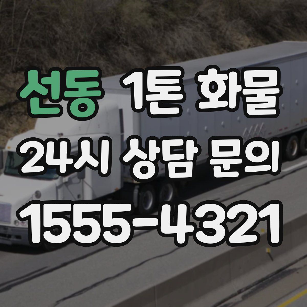 선동 1톤 화물