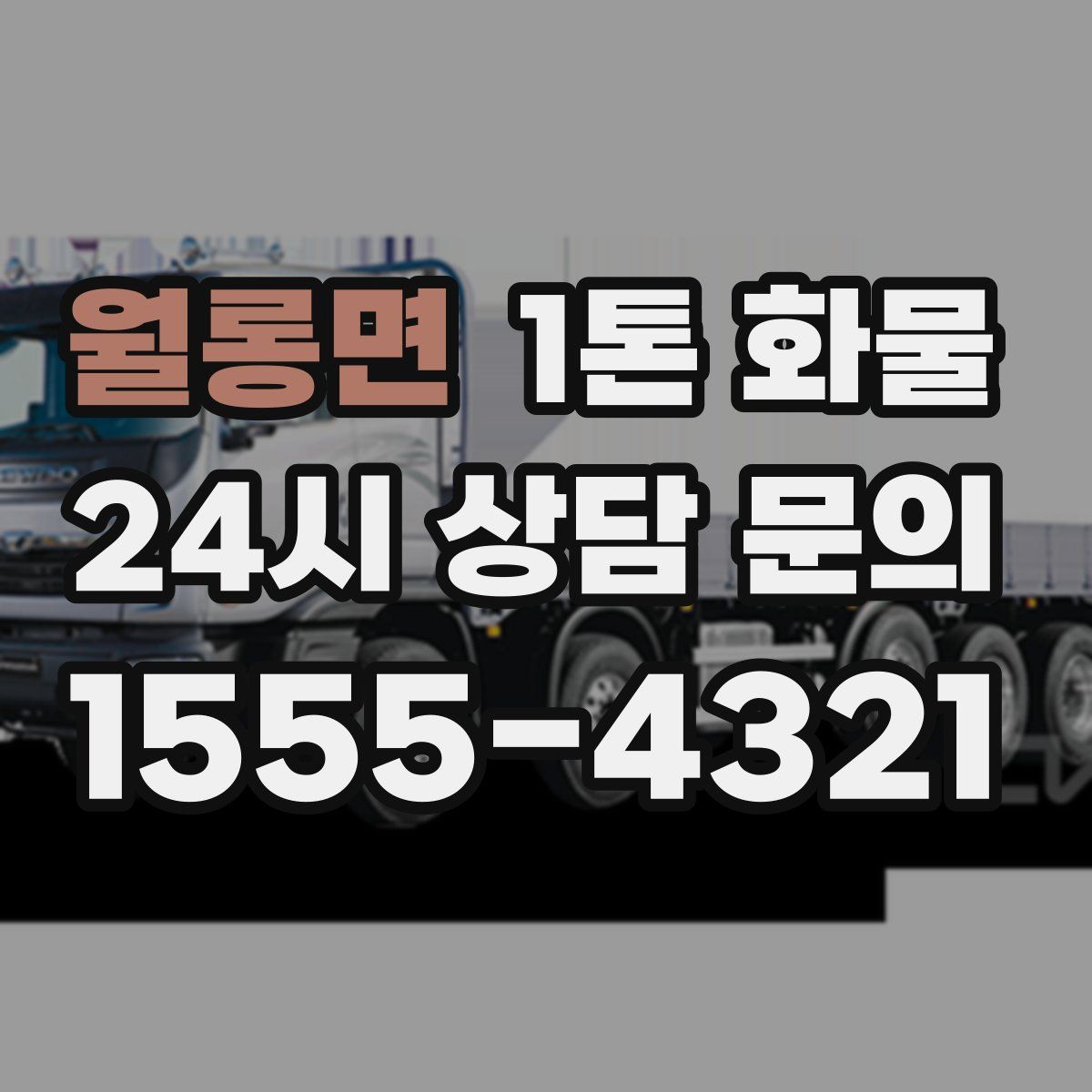 월롱면 1톤 화물