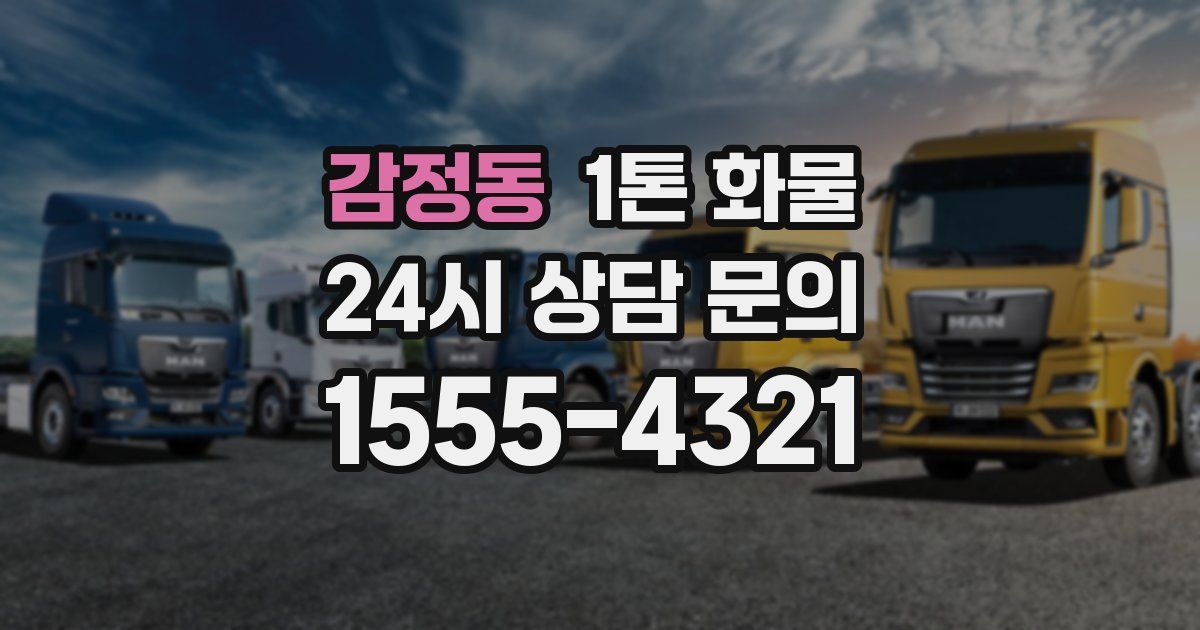 감정동 1톤 화물