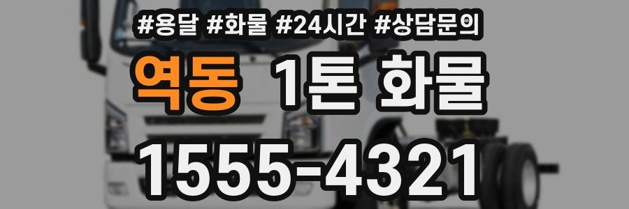 역동 1톤 화물
