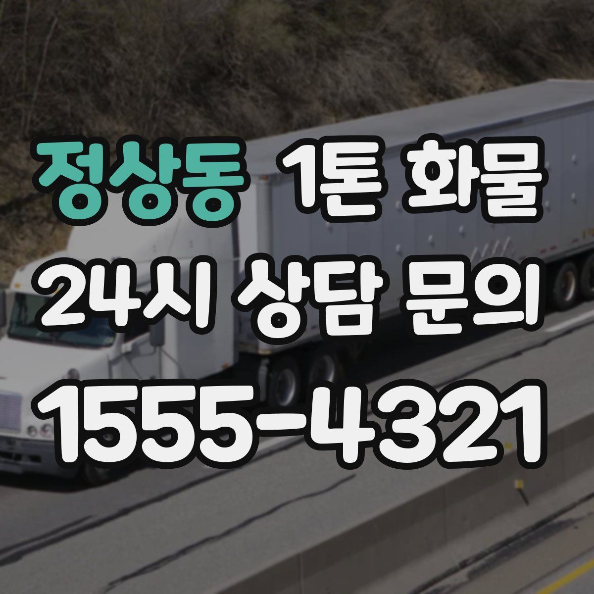 정상동 1톤 화물