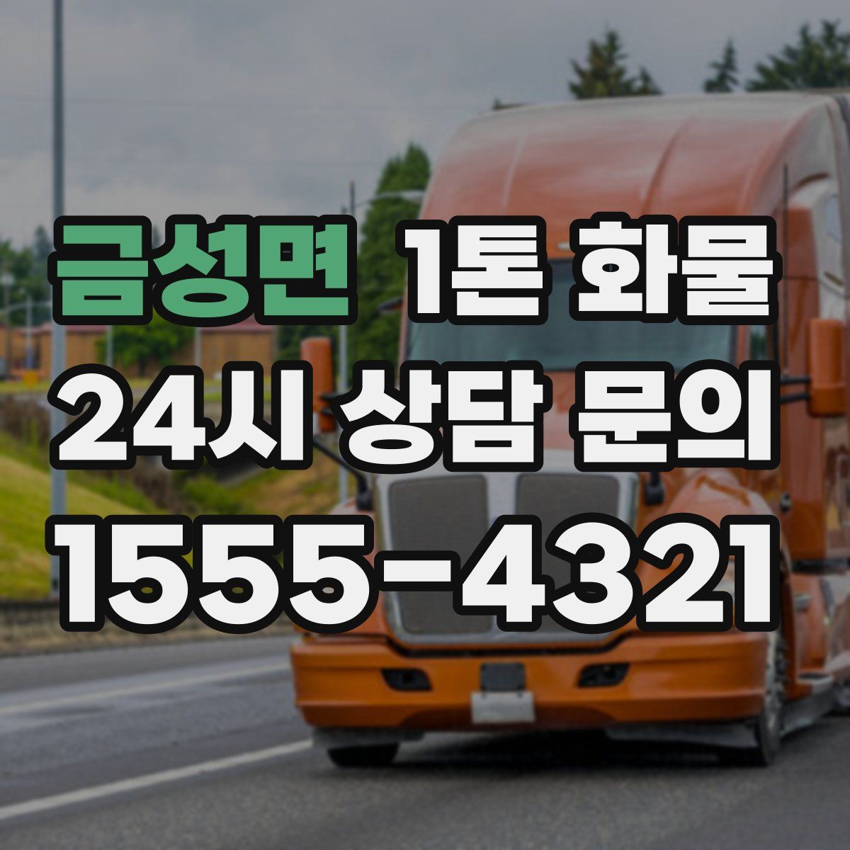 금성면 1톤 화물