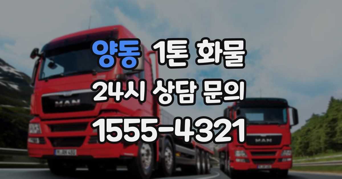 양동 1톤 화물