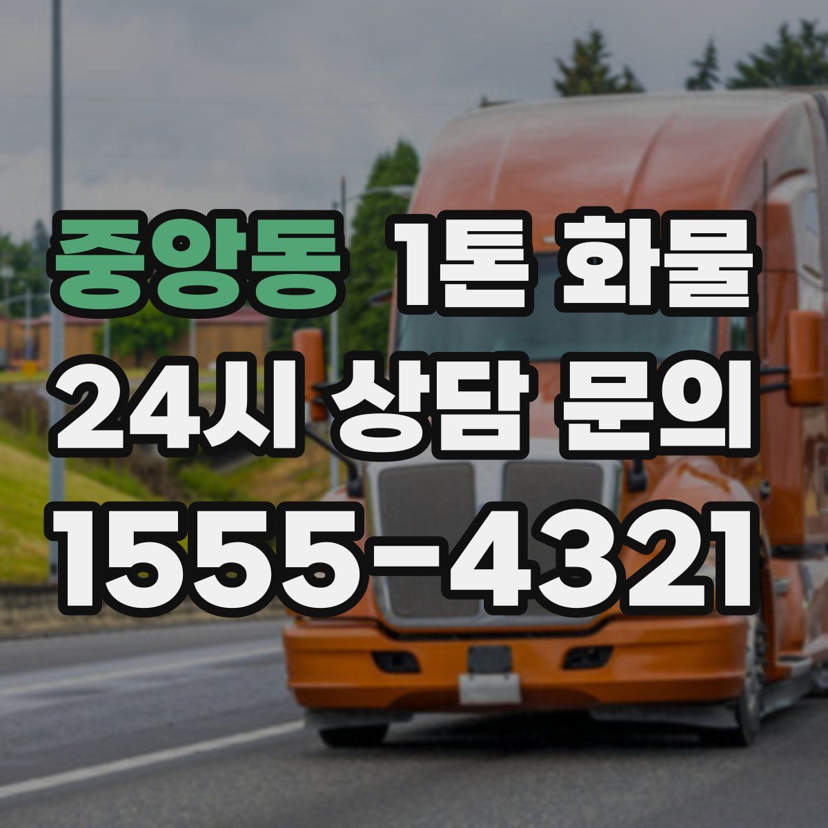 중앙동 1톤 화물