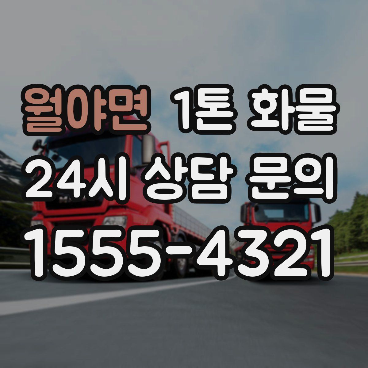 월야면 1톤 화물