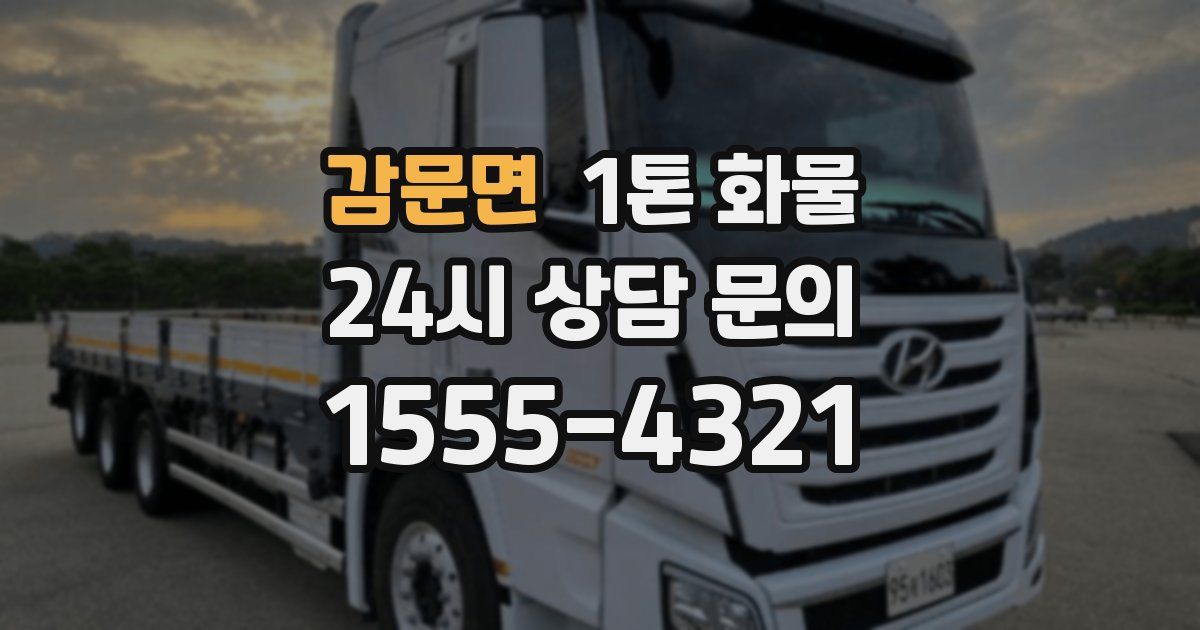 감문면 1톤 화물