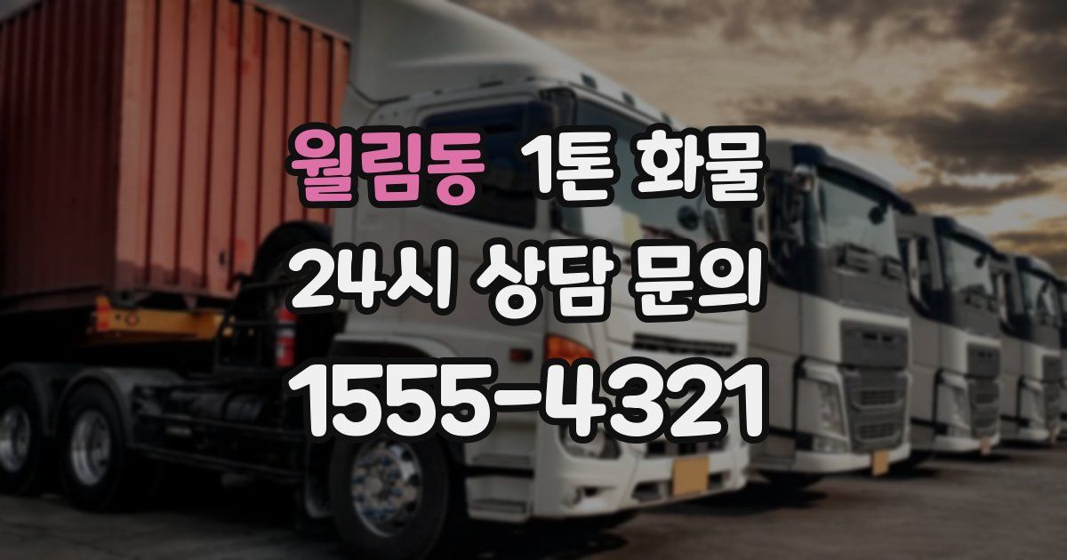 월림동 1톤 화물