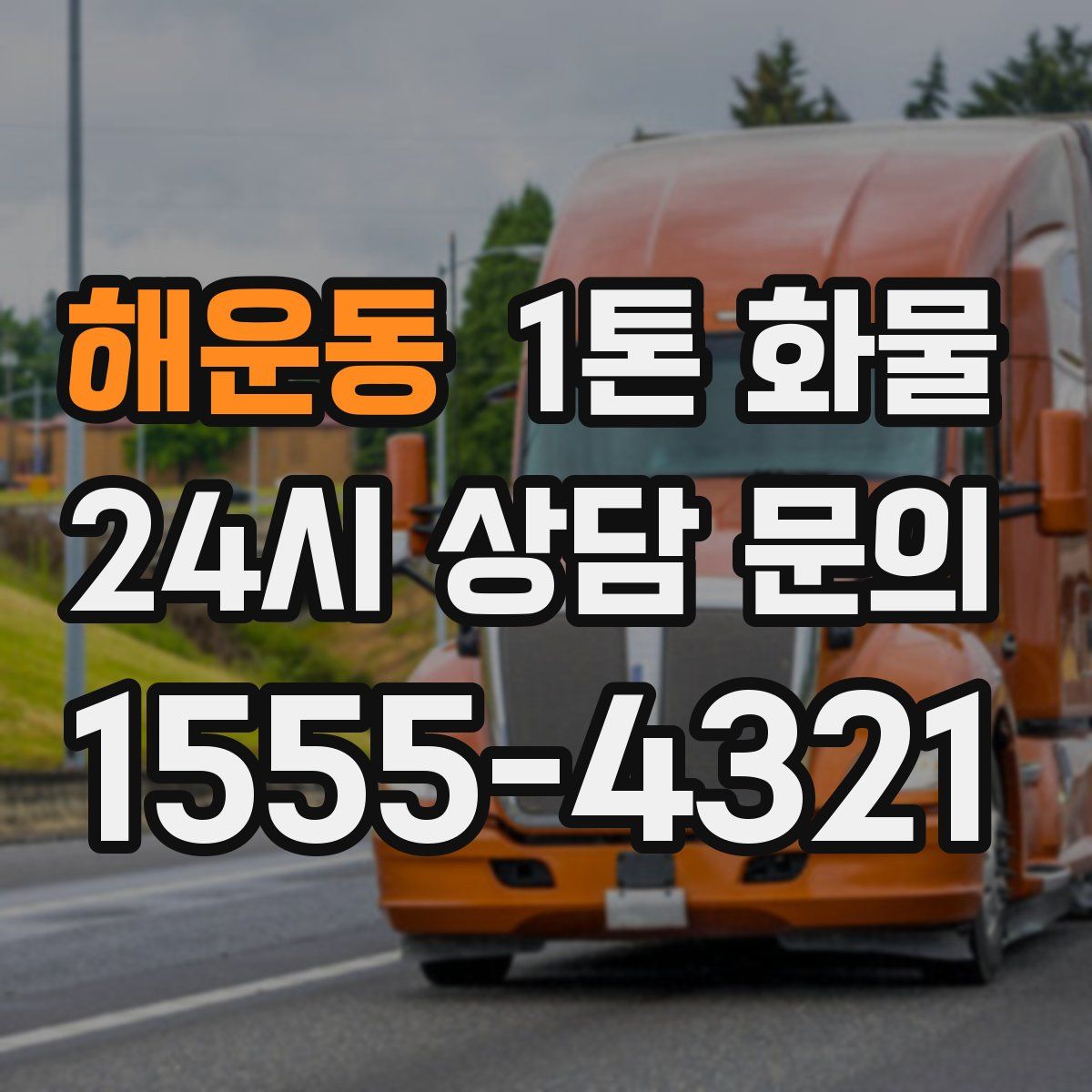 해운동 1톤 화물