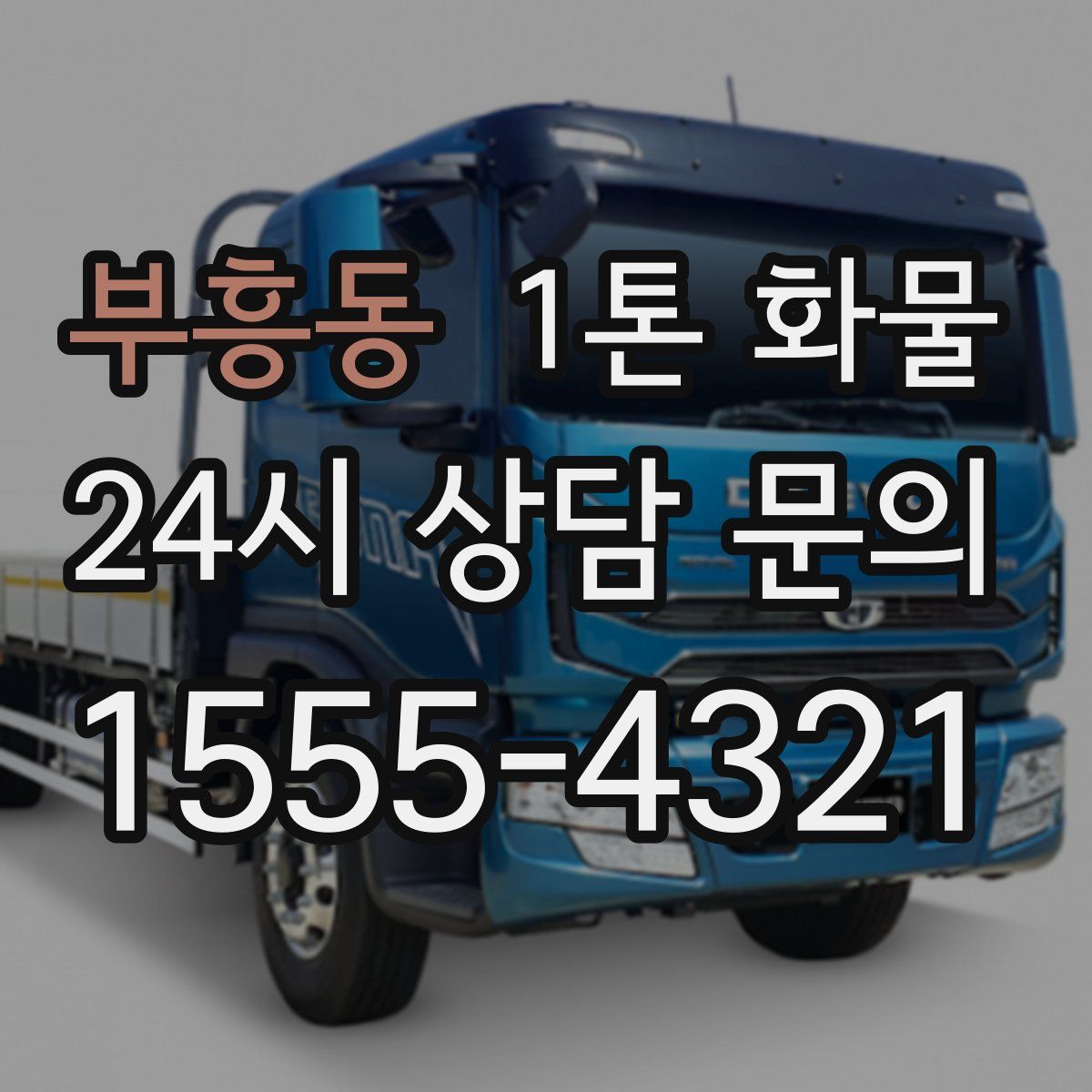 부흥동 1톤 화물
