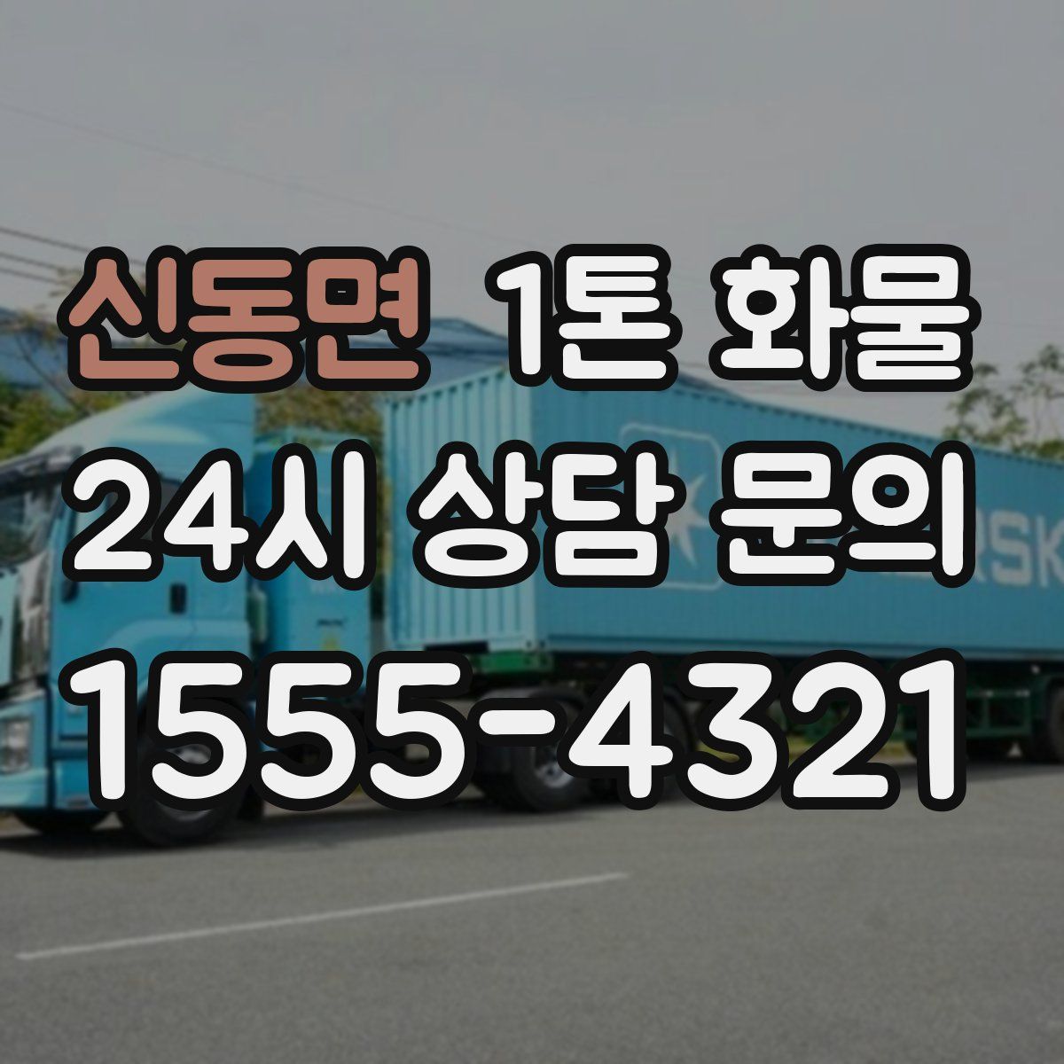 신동면 1톤 화물