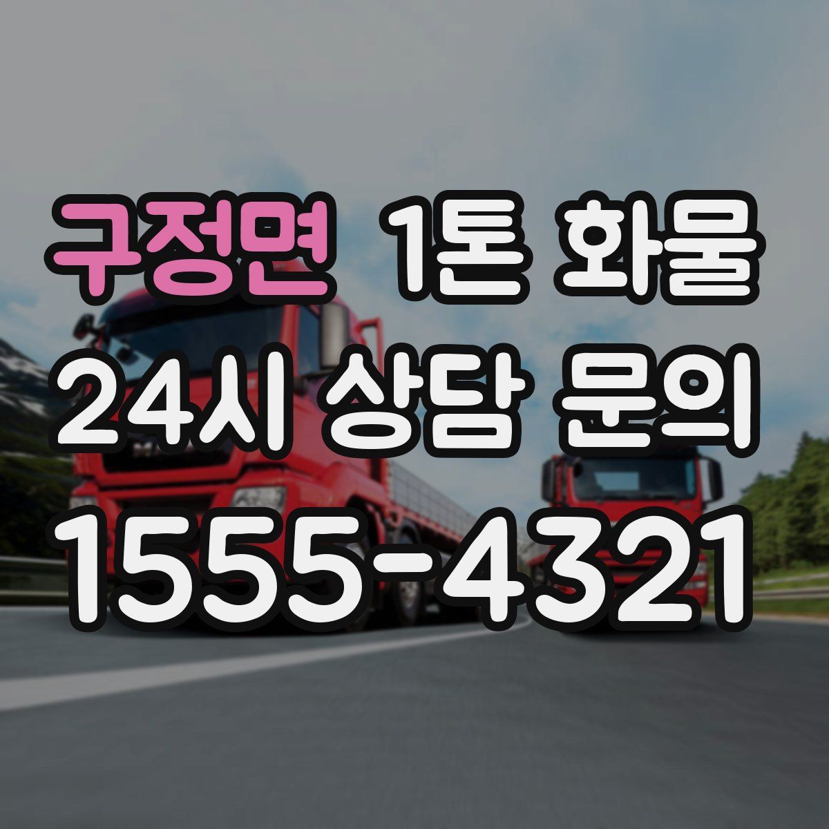 구정면 1톤 화물