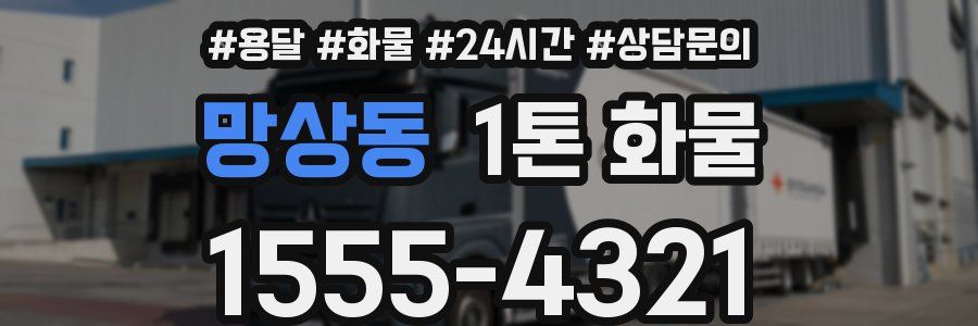 망상동 1톤 화물
