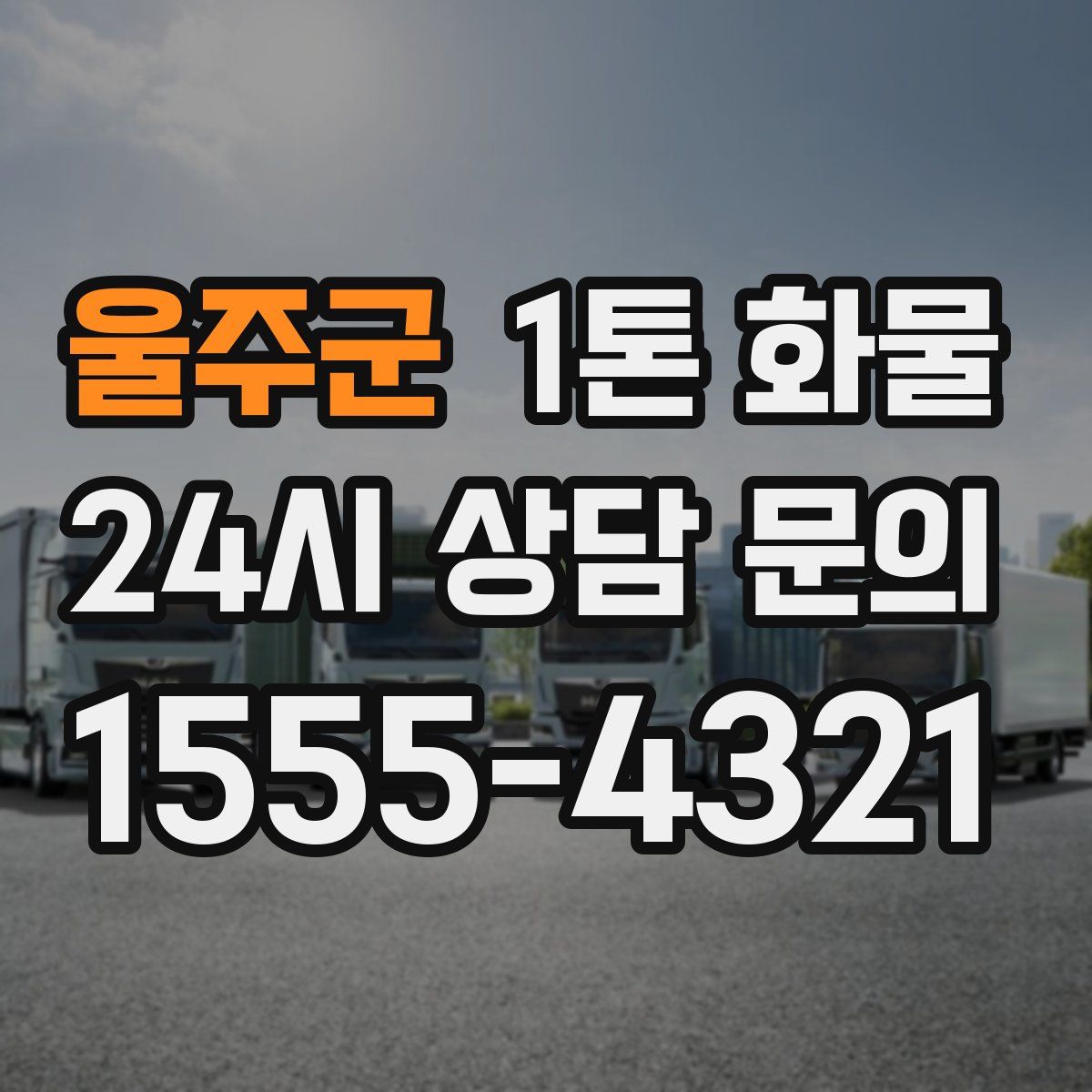 울주군 1톤 화물